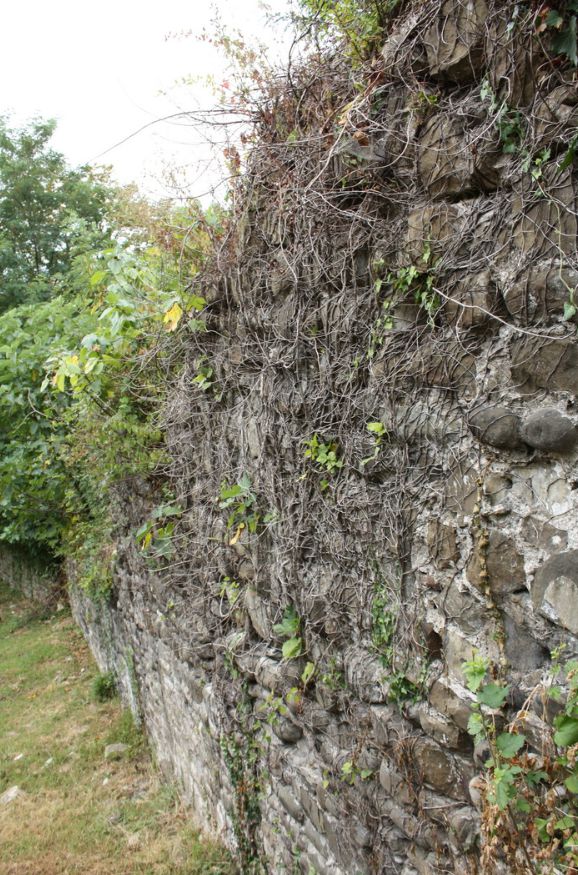 Wall of Godlik Fortress